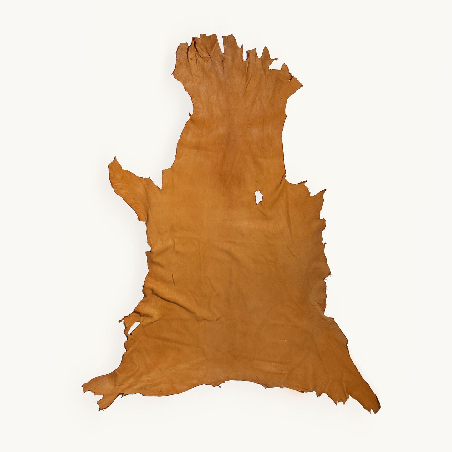 Yellow Chrome-Tanned Whitetail Buckskin Deer Hide