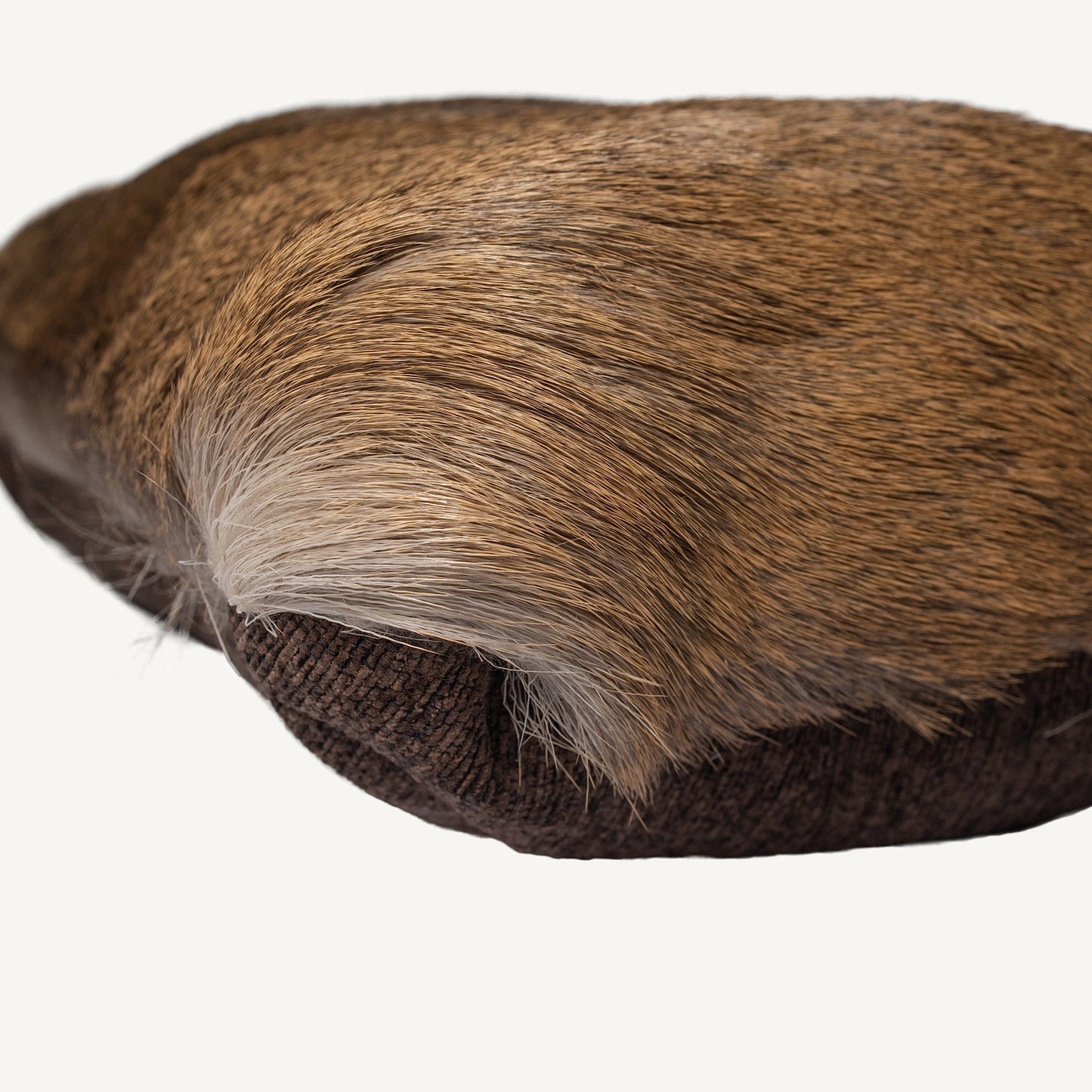 Hair-On Whitetail Deer Hide Lumbar Pillow - Filled