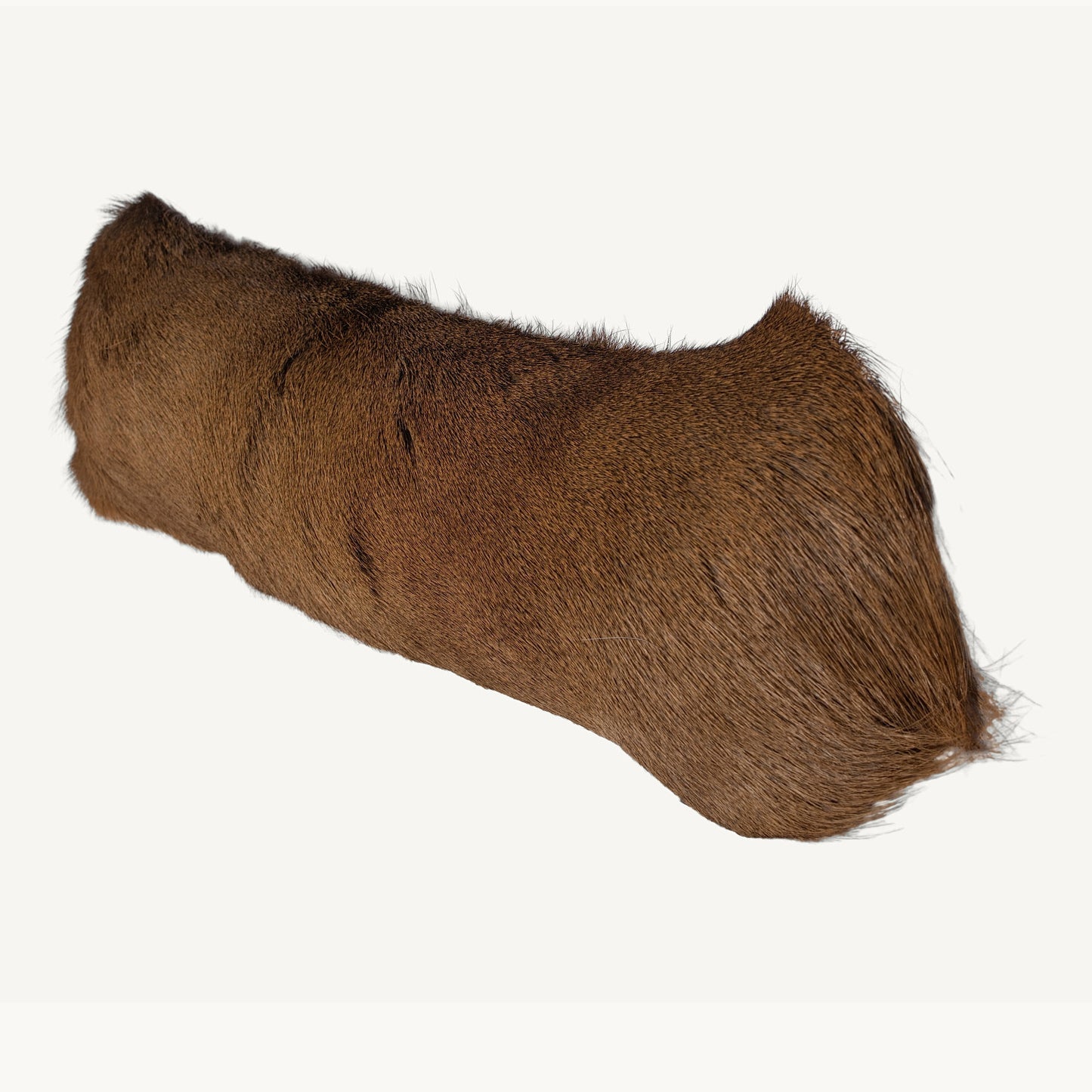 Hair-On Whitetail Deer Hide Lumbar Pillow - Filled