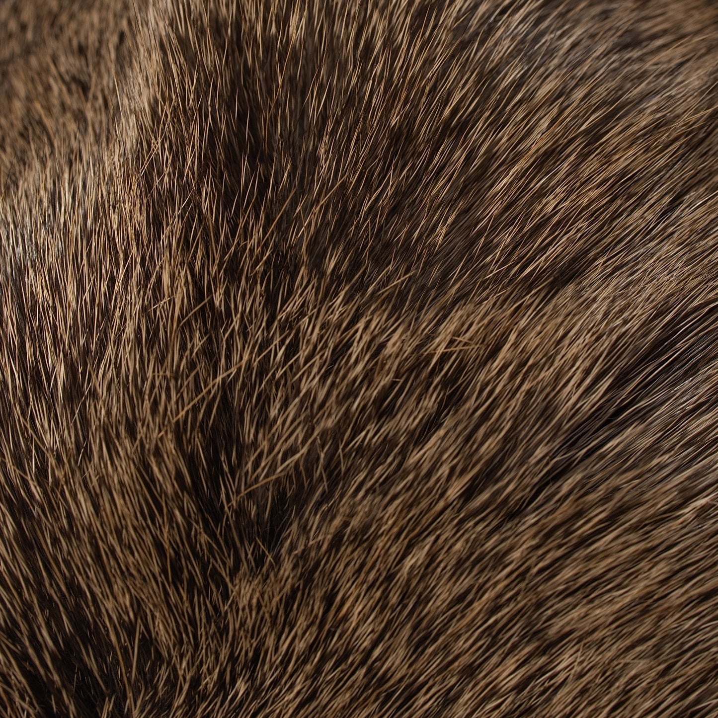 Hair-On Whitetail Deer Hide Lumbar Pillow - Filled