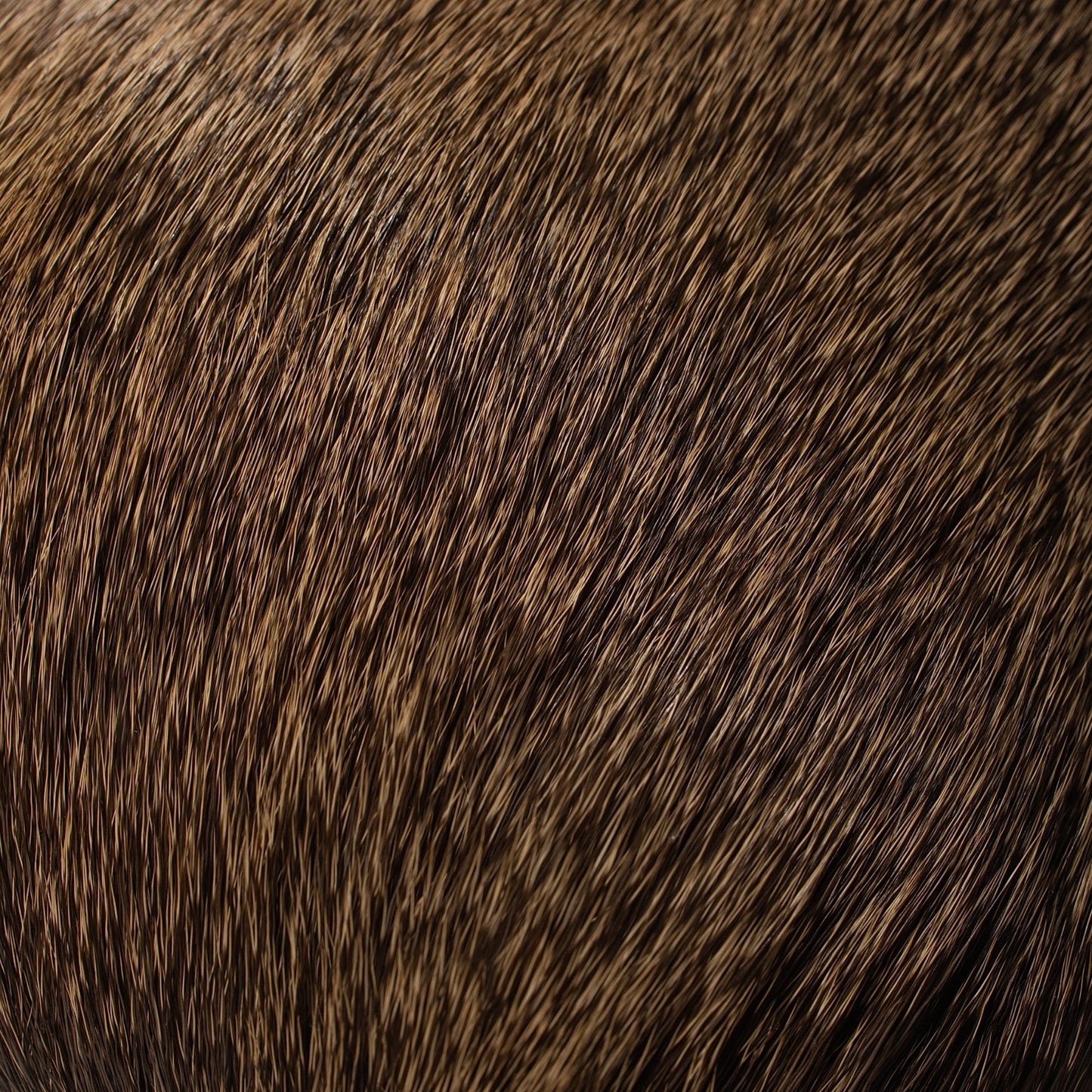 Hair-On Whitetail Deer Hide Lumbar Pillow - Filled