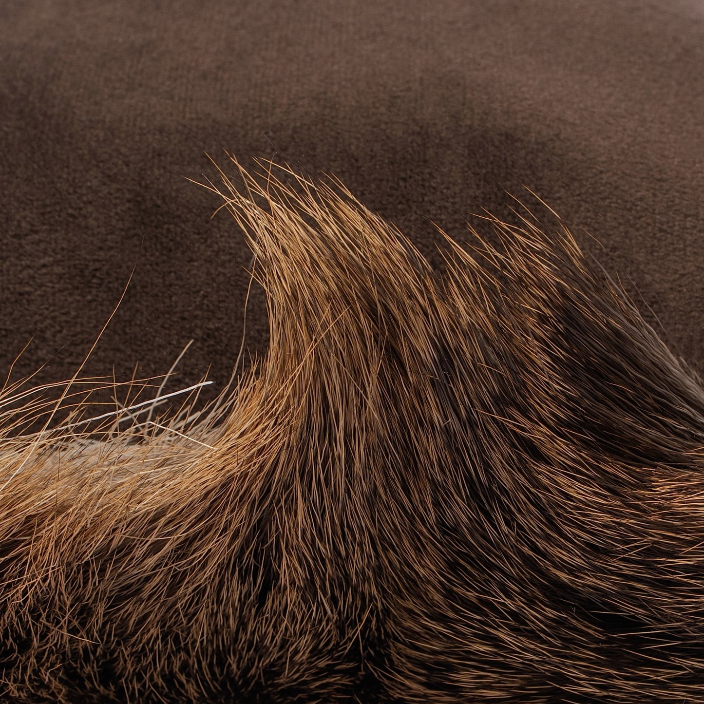 Hair-On Whitetail Deer Hide Lumbar Pillow - Filled