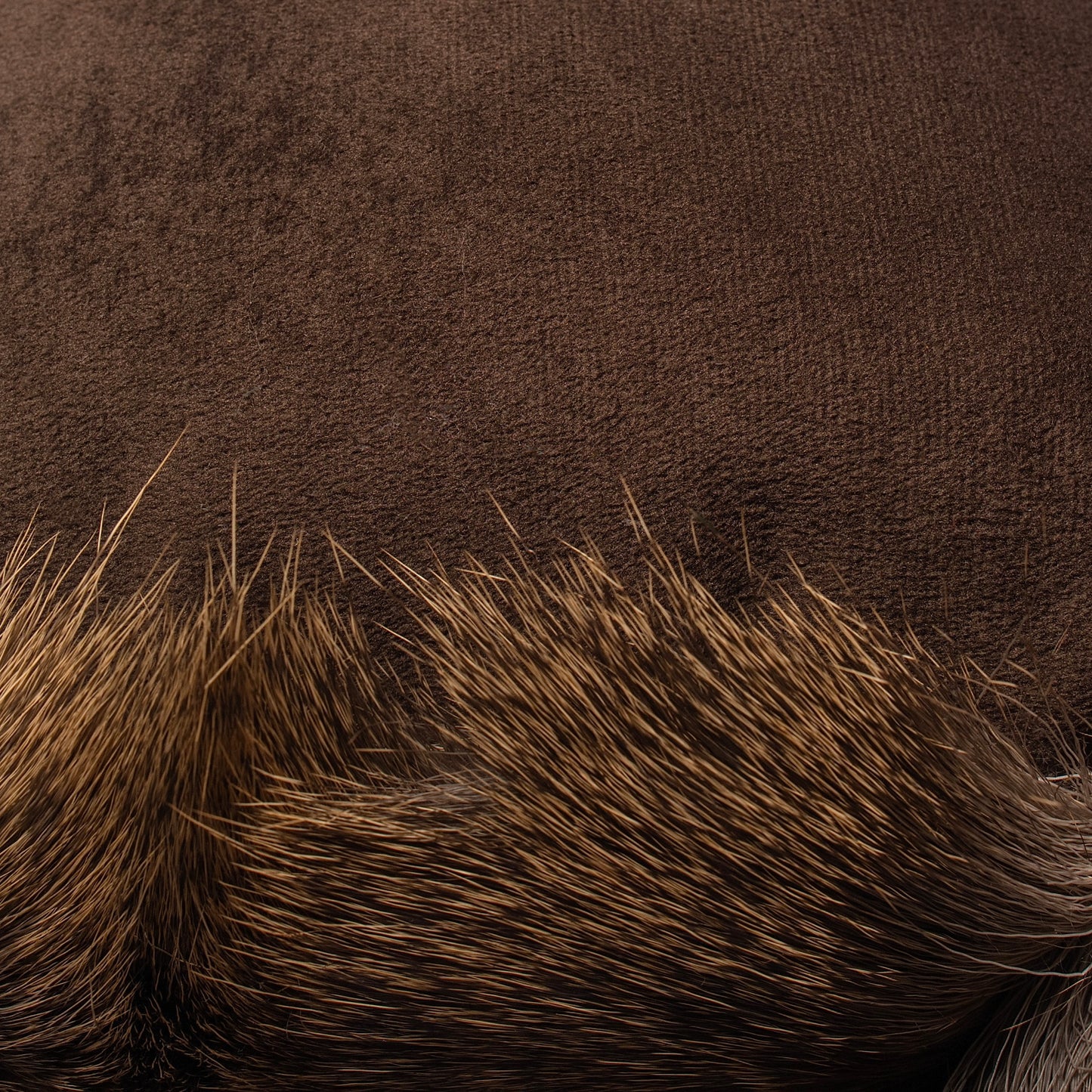 Hair-On Whitetail Deer Hide Lumbar Pillow - Filled